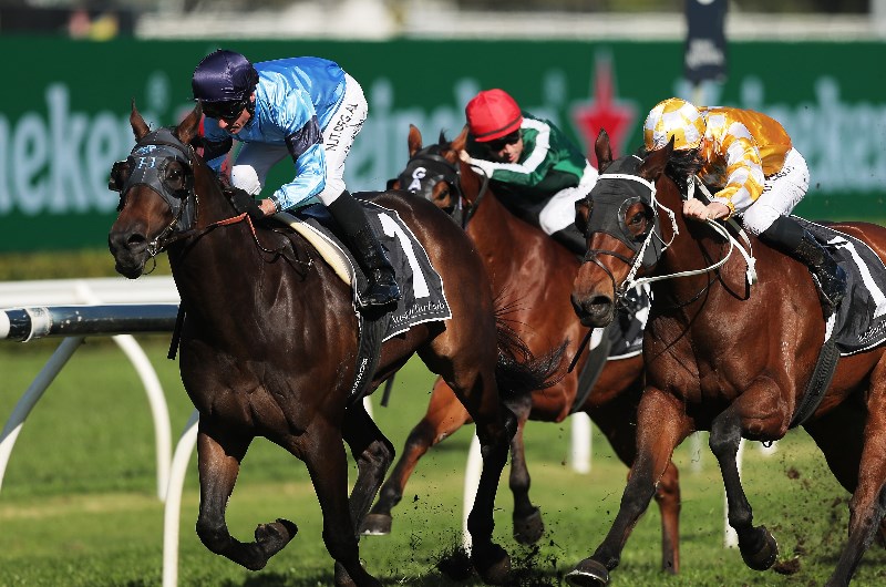 Weekend Racing Multi