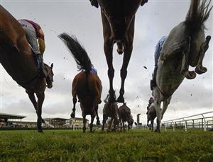 WINCANTON, ENGLAND - DECEMBER 03: A general view as runners clear a fence at Wincanton Racecourse on December 03, 2020 in Wincanton, England. Owners and a limited number of the public are allowed to attend the meeting due to the Coronavirus pandemic. (Photo by Alan Crowhurst/Getty Images)
