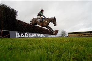 WINCANTON, ENGLAND - DECEMBER 03: Bryan Carver riding Ede'iffs Elton clear the last to win The Weatherbys Racing Bank Foreign Exchange Handicap Chase at Wincanton Racecourse on December 03, 2020 in Wincanton, England. Owners and a limited number of the public are allowed to attend the meeting due to the Coronavirus pandemic. (Photo by Alan Crowhurst/Getty Images)