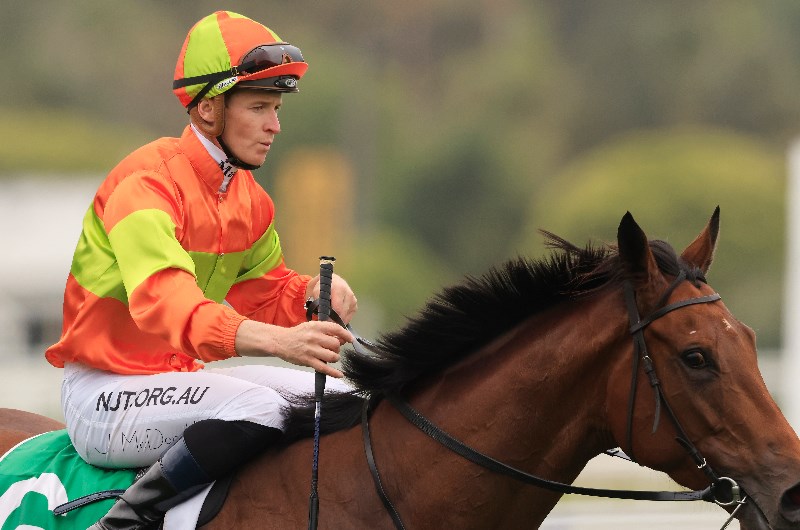 james mcdonald megabet