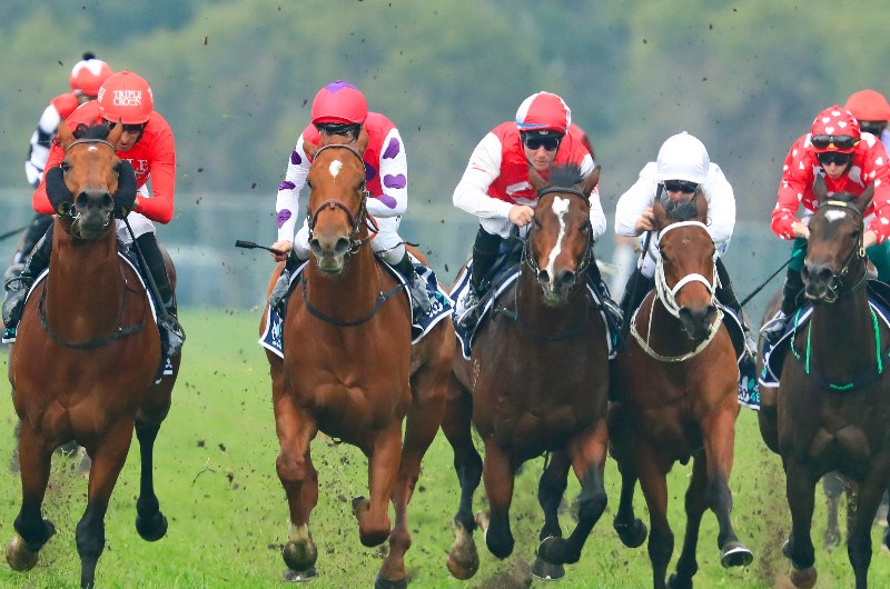 smart image rosehill