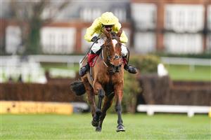 ESHER, ENGLAND - DECEMBER 04: Albi Tufnell riding Call Me Vic (yellow) clear the last to win The Sandown Park Amateur Jockeys' Handicap Chase at Sandown Park on December 04, 2020 in Esher, England. Owners and a limited number of the public are allowed to attend the meeting due to the Coronavirus pandemic. (Photo by Alan Crowhurst/Getty Images)