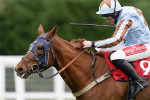 ESHER, ENGLAND - DECEMBER 04: Jamie Moore riding Darebin clear the last to win The Londesborough Handicap Chase at Sandown Park on December 04, 2020 in Esher, England. Owners and a limited number of the public are allowed to attend the meeting due to the Coronavirus pandemic. (Photo by Alan Crowhurst/Getty Images)