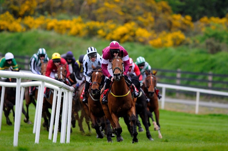 punchestown chase