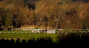 ESHER, ENGLAND - DECEMBER 05: A general view as runners in The Betfair Exchange Back And Lay London National Handicap Chase take a fence down the back straight as the late afternoon sun lights the trees at Sandown Park on December 05, 2020 in Esher, England. Owners and a limited number of the public are allowed to attend the meeting due to the Coronavirus pandemic. (Photo by Alan Crowhurst/Getty Images)