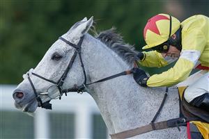 ESHER, ENGLAND - DECEMBER 05: Harry Skelton riding Politologue clear the last to win The Betfair Tingle Creek Chase at Sandown Park on December 05, 2020 in Esher, England. Owners and a limited number of the public are allowed to attend the meeting due to the Coronavirus pandemic. (Photo by Alan Crowhurst/Getty Images)