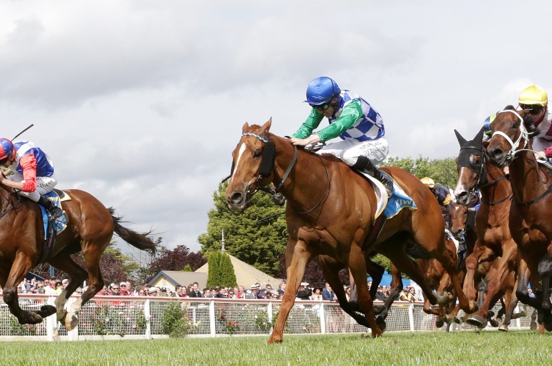 Ararat Racing tips for 05.02.2020