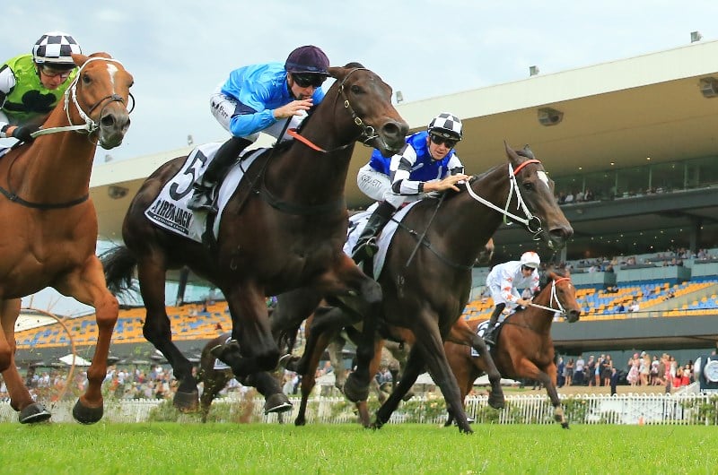 Big Bets Results for 05.12.2020