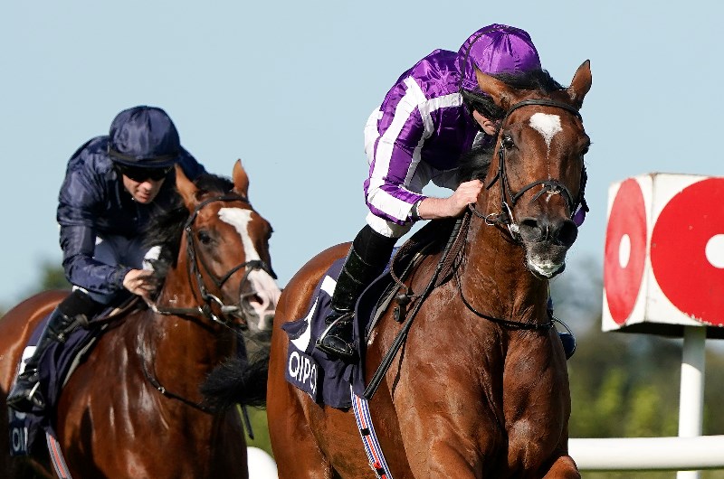 Hong Kong Cup Betting Odds