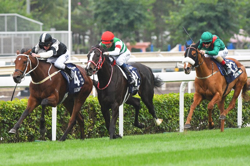 Hong Kong Vase Betting Odds