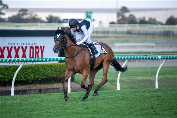 Isotope New Magic Millions Guineas Favourite