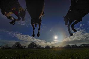 FONTWELL, ENGLAND - DECEMBER 08: A general view as runners clear a fence at Fontwell Park Racecourse on December 08, 2020 in Fontwell, England. Owners and a limited number of the public are allowed to attend the meeting due to the Coronavirus pandemic. (Photo by Alan Crowhurst/Getty Images)