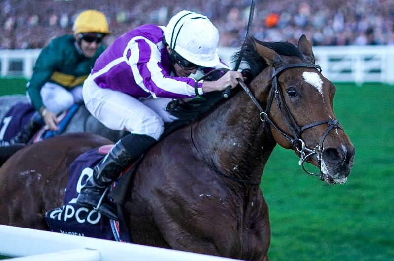International Jockeys' Championship