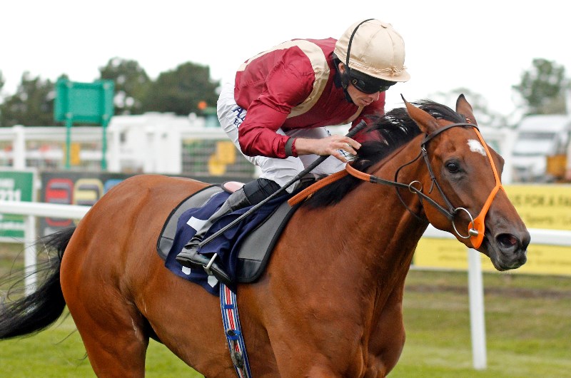ryan moore megabet