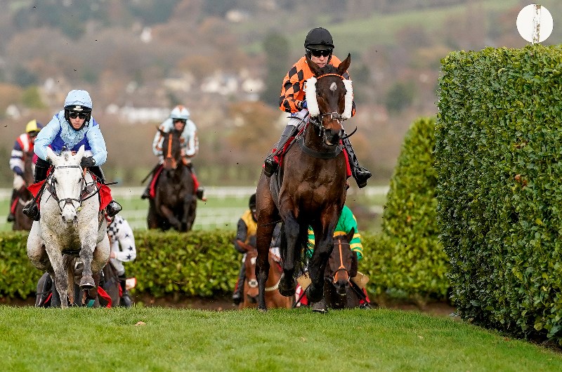 Cheltenham cross country