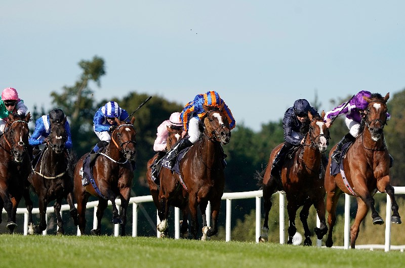 Hong Kong Cup Tips, Betting Previews and Best Bets for the Group One