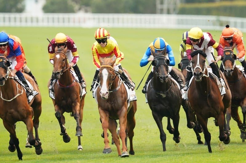 Randwick Tips for 12.12.2020