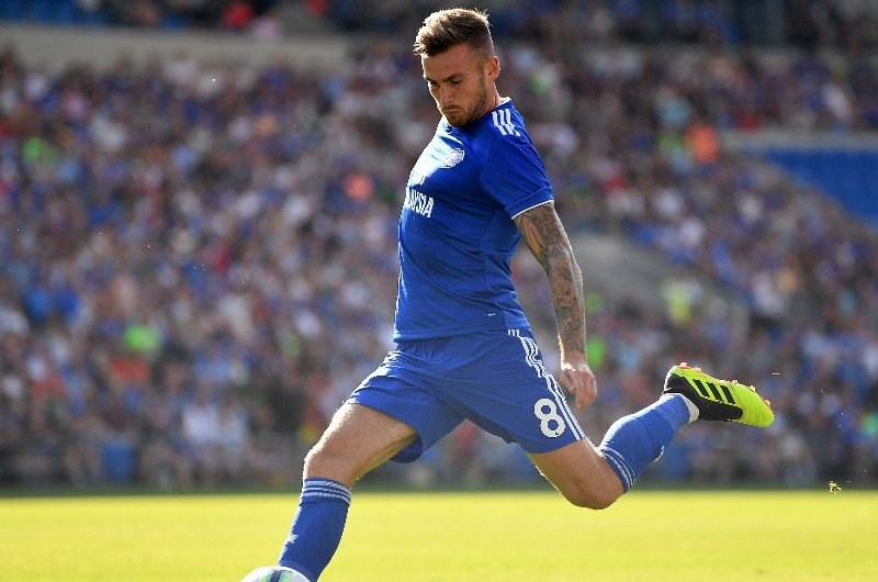 cardiff city friendly