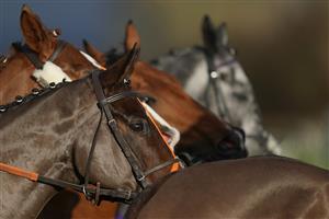 TAUNTON, ENGLAND - DECEMBER 10: Runners in The Stables Business Park Novices' Handicap Hurdle circle at the start at Taunton Racecourse on December 10, 2020 in Taunton, England. Owners and a limited number of the public are allowed to attend the meeting due to the Coronavirus pandemic. (Photo by Alan Crowhurst/Getty Images)