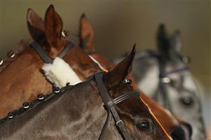 TAUNTON, ENGLAND - DECEMBER 10: Runners in The Stables Business Park Novices' Handicap Hurdle circle at the start at Taunton Racecourse on December 10, 2020 in Taunton, England. Owners and a limited number of the public are allowed to attend the meeting due to the Coronavirus pandemic. (Photo by Alan Crowhurst/Getty Images)