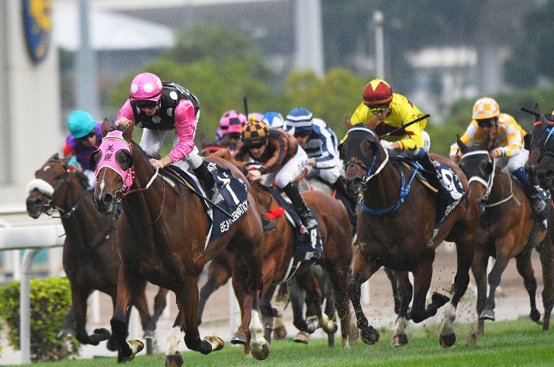 Hong Kong Mile Tips