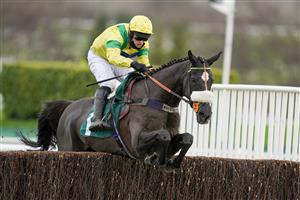 CHELTENHAM, ENGLAND - DECEMBER 11: David Bass riding Happygolucky clear the last to win The International Decorative Surfaces Novices' Chase at Cheltenham Racecourse on December 11, 2020 in Cheltenham, England. Owners and a limited number of the public are allowed to attend the meeting due to the Coronavirus pandemic. (Photo by Alan Crowhurst/Getty Images)