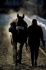 CHELTENHAM, ENGLAND - DECEMBER 11: Steam rises from a horse as it returns the the parade ring at Cheltenham Racecourse on December 11, 2020 in Cheltenham, England. Owners and a limited number of the public are allowed to attend the meeting due to the Coronavirus pandemic. (Photo by Alan Crowhurst/Getty Images)