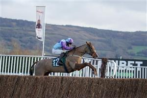 CHELTENHAM, ENGLAND - DECEMBER 11: Alan Johns riding Madera Mist clear the last to win The CF Roberts Electrical & Mechanical Services Mares' Handicap Chase at Cheltenham Racecourse on December 11, 2020 in Cheltenham, England. Owners and a limited number of the public are allowed to attend the meeting due to the Coronavirus pandemic. (Photo by Alan Crowhurst/Getty Images)