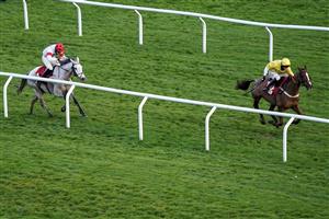 CHELTENHAM, ENGLAND - DECEMBER 11: Ben Harvey riding Some Neck (grey horse/red cap) on their way to winning The Glenfarclas Cross Country Handicap Chase at Cheltenham Racecourse on December 11, 2020 in Cheltenham, England. Owners and a limited number of the public are allowed to attend the meeting due to the Coronavirus pandemic. (Photo by Alan Crowhurst/Getty Images)