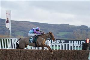 CHELTENHAM, ENGLAND - DECEMBER 11: Alan Johns riding Madera Mist clear the last to win The CF Roberts Electrical & Mechanical Services Mares' Handicap Chase at Cheltenham Racecourse on December 11, 2020 in Cheltenham, England. Owners and a limited number of the public are allowed to attend the meeting due to the Coronavirus pandemic. (Photo by Alan Crowhurst/Getty Images)