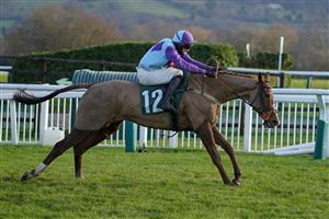 CHELTENHAM, ENGLAND - DECEMBER 11: Alan Johns riding Madera Mist clear the last to win The CF Roberts Electrical & Mechanical Services Mares' Handicap Chase at Cheltenham Racecourse on December 11, 2020 in Cheltenham, England. Owners and a limited number of the public are allowed to attend the meeting due to the Coronavirus pandemic. (Photo by Alan Crowhurst/Getty Images)