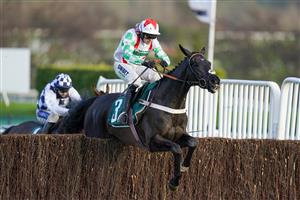 CHELTENHAM, ENGLAND - DECEMBER 11: Nico de Boinville riding Mister Fisher clear the last to win The Fitzdares Club Loves The Peterborough Chase at Cheltenham Racecourse on December 11, 2020 in Cheltenham, England. Owners and a limited number of the public are allowed to attend the meeting due to the Coronavirus pandemic. (Photo by Alan Crowhurst/Getty Images)