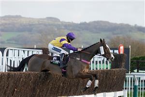 CHELTENHAM, ENGLAND - DECEMBER 11: Richard Patrick riding Storm Control clear the last to win The Unibet Handicap Chase at Cheltenham Racecourse on December 11, 2020 in Cheltenham, England. Owners and a limited number of the public are allowed to attend the meeting due to the Coronavirus pandemic. (Photo by Alan Crowhurst/Getty Images)