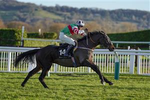 CHELTENHAM, ENGLAND - DECEMBER 12: Darragh O'Keeffe riding Chatham Street Lad clear the last to win The Caspian Caviar Gold Cup Handicap Chase at Cheltenham Racecourse on December 12, 2020 in Cheltenham, England. Owners and a limited number of the public are allowed to attend the meeting due to the Coronavirus pandemic. (Photo by Alan Crowhurst/Getty Images)