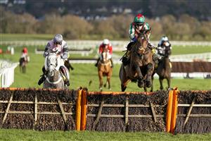 CHELTENHAM, ENGLAND - DECEMBER 12: Tom Scudamore riding Adagio clear the last to win The JCB Triumph Trial Juvenile Hurdle at Cheltenham Racecourse on December 12, 2020 in Cheltenham, England. Owners and a limited number of the public are allowed to attend the meeting due to the Coronavirus pandemic. (Photo by Alan Crowhurst/Getty Images)