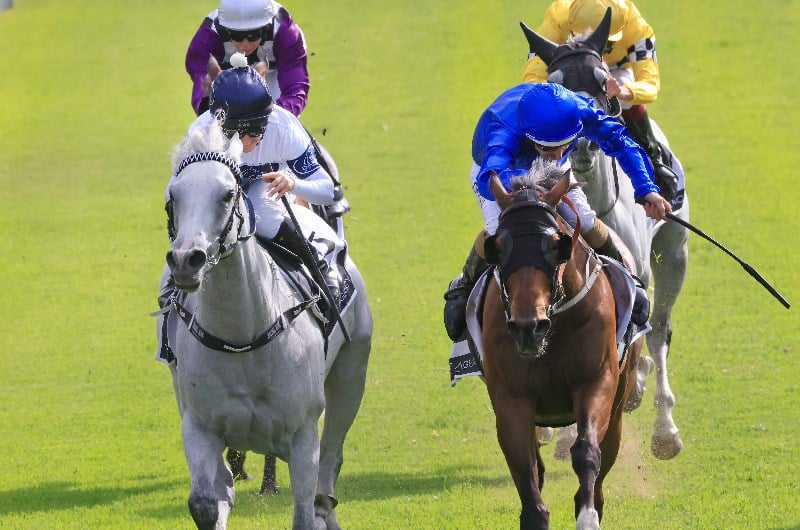 Big Bets Results from 12.12.2020