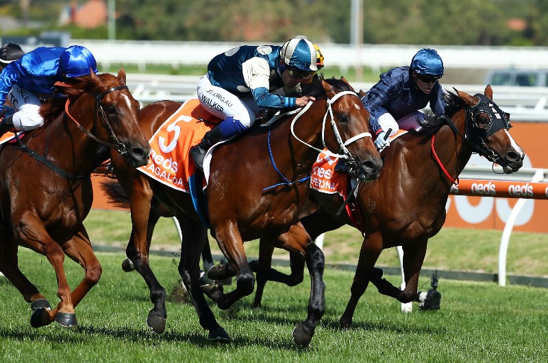 Caulfield Tips