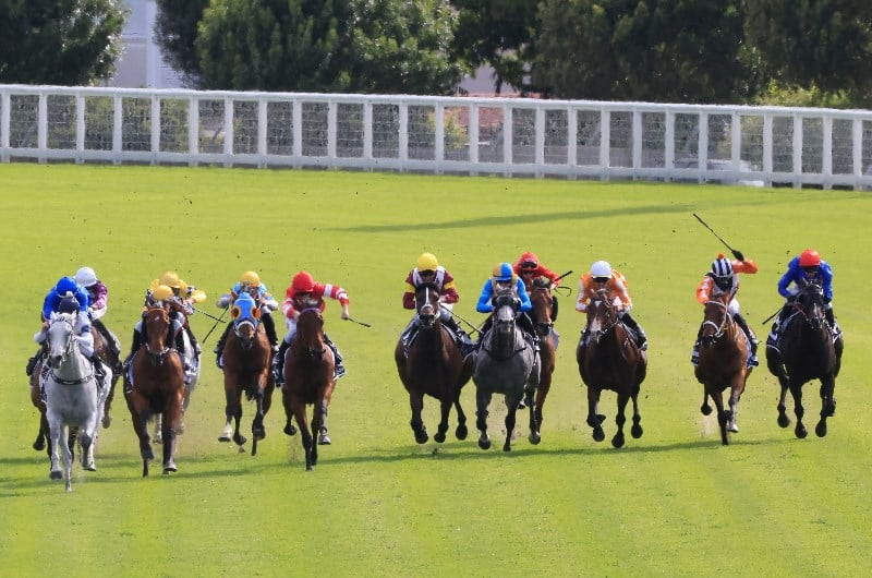 Villiers Stakes Day Highlights
