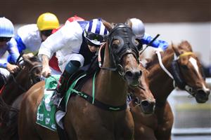 SYDNEY, AUSTRALIA - DECEMBER 12: Robbie Dolan on Crackneck wins race 2 the Farewell Pat Webster Highway Class 3 Plate during Sydney Racing at Royal Randwick on November 28, 2020 in Sydney, Australia. (Photo by Mark Evans/Getty Images)