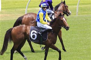 SYDNEY, AUSTRALIA - DECEMBER 12: Hugh Bowman on Salina Dreaming returns to scale after winning race 3 the Easternbuilt Handicap during Sydney Racing at Royal Randwick Racecourse on December 12, 2020 in Sydney, Australia. (Photo by Mark Evans/Getty Images)