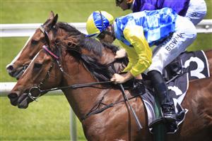 SYDNEY, AUSTRALIA - DECEMBER 12: Hugh Bowman on Salina Dreaming wins race 3 the Easternbuilt Handicap during Sydney Racing at Royal Randwick Racecourse on December 12, 2020 in Sydney, Australia. (Photo by Mark Evans/Getty Images)