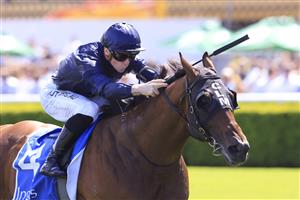 SYDNEY, AUSTRALIA - DECEMBER 12: James McDonald on Acrobat wins race 5 the Inglis Nursery during Sydney Racing at Royal Randwick on December 12, 2020 in Sydney, Australia. (Photo by Mark Evans/Getty Images)