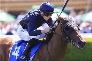 SYDNEY, AUSTRALIA - DECEMBER 12: James McDonald on Acrobat wins race 5 the Inglis Nursery during Sydney Racing at Royal Randwick on December 12, 2020 in Sydney, Australia. (Photo by Mark Evans/Getty Images)
