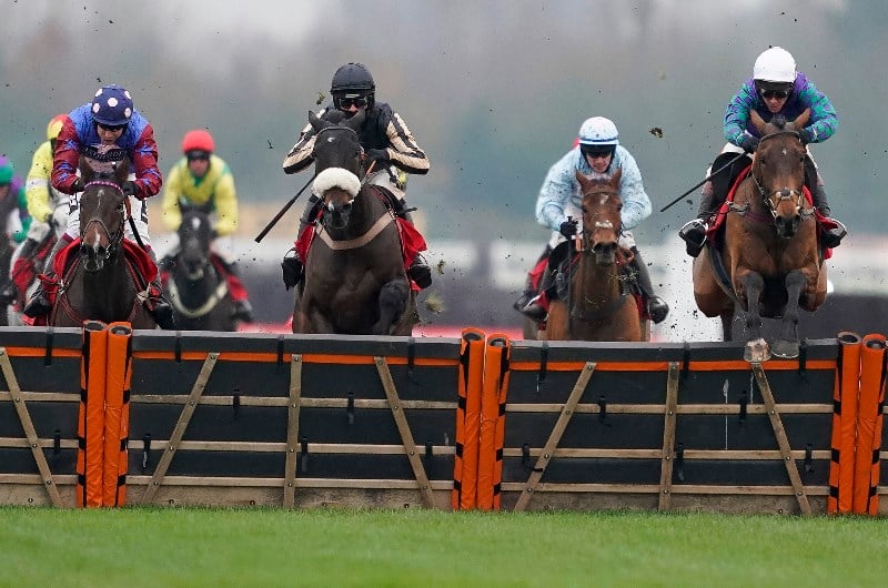 thyme hill newbury