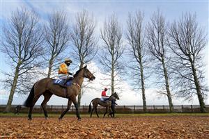WINCANTON, ENGLAND - DECEMBER 15: A general view as runners make their way to the track for The Racing TV HD On Sky 426 Mares' Handicap Hurdle at Wincanton Racecourse on December 15, 2020 in Wincanton, England. Owners and a limited number of the public are allowed to attend the meeting due to the Coronavirus pandemic. (Photo by Alan Crowhurst/Getty Images)