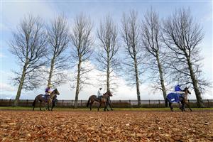 WINCANTON, ENGLAND - DECEMBER 15: A general view as runners make their way to the track for The Racing TV HD On Sky 426 Mares' Handicap Hurdle at Wincanton Racecourse on December 15, 2020 in Wincanton, England. Owners and a limited number of the public are allowed to attend the meeting due to the Coronavirus pandemic. (Photo by Alan Crowhurst/Getty Images)