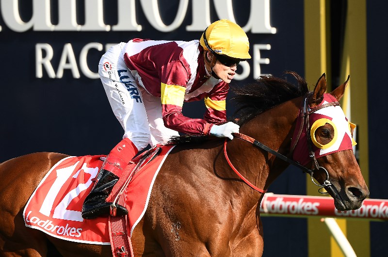 Craig Williams megabet