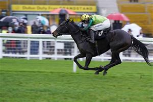 NEWBURY, ENGLAND - DECEMBER 16: Conor O'Farrell riding Steel An Icon win The BoscaSports Transforming Retail Betting Display Fillies' 'Junior' Standard Open NH Flat Race at Newbury Racecourse on December 16, 2020 in Newbury, England. Owners and a limited number of the public are allowed to attend the meeting due to the Coronavirus pandemic. (Photo by Alan Crowhurst/Getty Images)