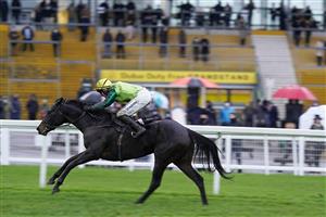 NEWBURY, ENGLAND - DECEMBER 16: Conor O'Farrell riding Steel An Icon win The BoscaSports Transforming Retail Betting Display Fillies' 'Junior' Standard Open NH Flat Race at Newbury Racecourse on December 16, 2020 in Newbury, England. Owners and a limited number of the public are allowed to attend the meeting due to the Coronavirus pandemic. (Photo by Alan Crowhurst/Getty Images)