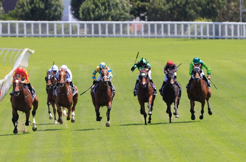 Randwick Tips for 19.12.2020
